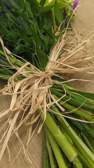 Colourful Tied Sheaf