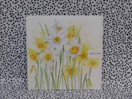 Daffodil Blank
