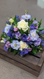 Lilac, Purple & White Posy Dish Arrangement