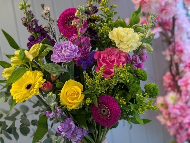 Summer Time Blooms