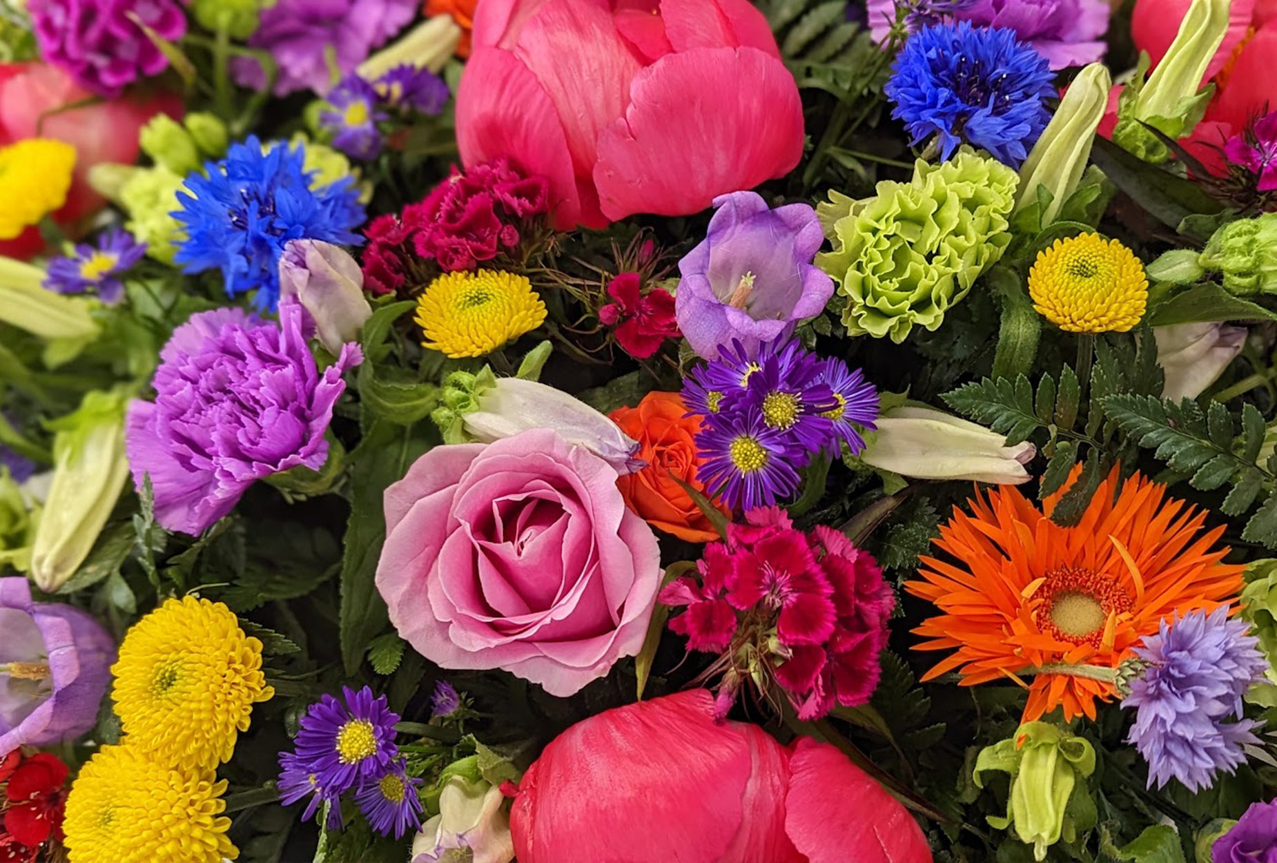 Order Gift Flowers
